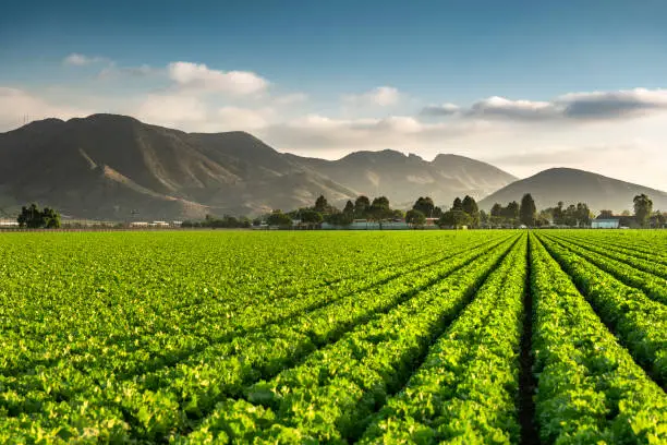 paysage chili
